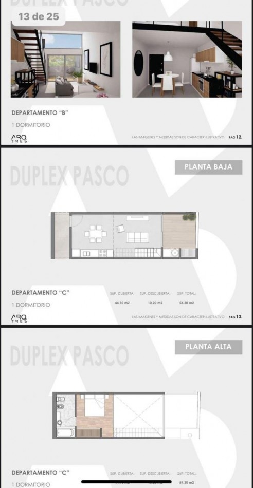 Departamentos con Patio y Parrilla un Ambiente con Dormitorio en Entrepiso