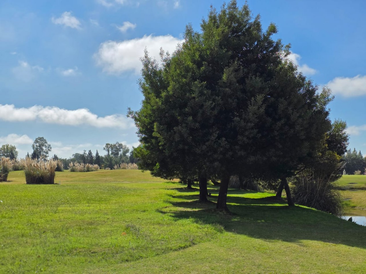LOTE 1600M2 CON EXCELENTE ORIENTACION BARRIO SAN ELISEO