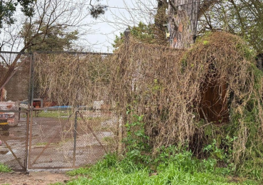 Lote en Jose Marmol- Buena Zona